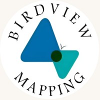 BirdView Mapping Logo