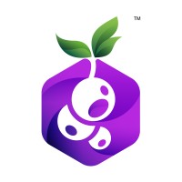 Blackcurrant Labs Pvt. Ltd. Logo