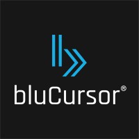 bluCursor Infotech Pvt Ltd Logo