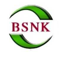 BSNK Info Solutions Pvt. Ltd. Logo