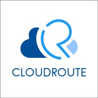CloudRoute - Salesforce Platinum Partner Logo