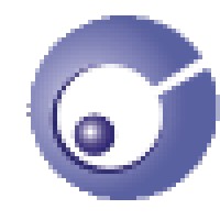 Crux Infotech Pvt. Ltd. Logo