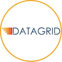 Datagrid Solutions Logo