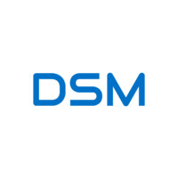 DSM Infocom Private Limited Logo