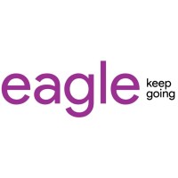 Eagle Information Systems Pvt. Ltd. Logo