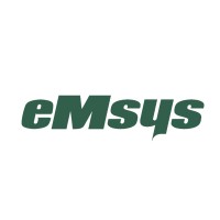 eMsys Solutions Logo