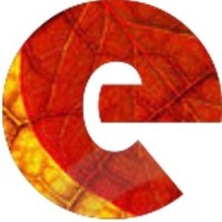 eStomi Technologies Logo
