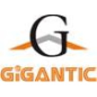 Gigantic Infotel Pvt Ltd Logo