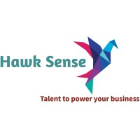 Hawk Sense Business Solutions Pvt Ltd (formerly known as Hawk Sense Security Systems Pvt Ltd) Logo