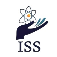 Immense Smart Solutions Logo