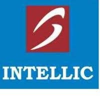 Intellic Systems Logo