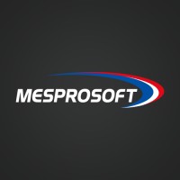 Mesprosoft Pvt Ltd Logo