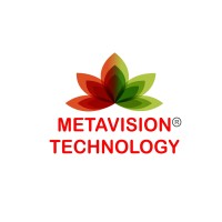 METAVISION TECHNOLOGY PRIVATE LIMITED Logo
