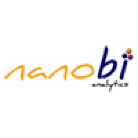 nanobi analytics Logo