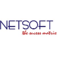 Netsoft Consulting Services (P) Ltd Logo