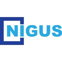 Nigus Systems Logo