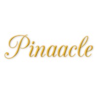 Pinaacle Technologies Pvt Ltd Logo