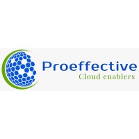 Proeffective IT Services Pvt ltd Logo