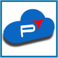 PROTON EXPERT SYSTEMS AND SOLUTIONS Logo