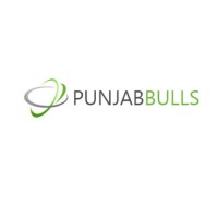 Punjabbulls Technology Pvt Ltd Logo