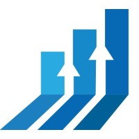 Rise Infotech Logo