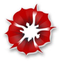 Seyal Infotech Logo