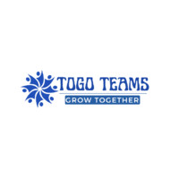 TOGO Teams Logo