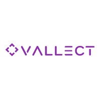 Vallect Logo